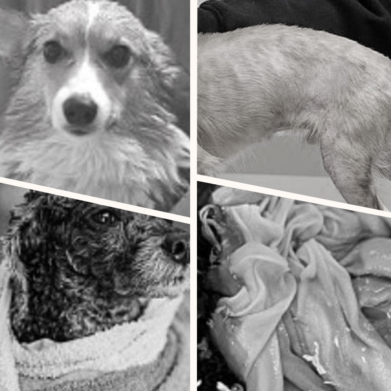 Soft Absorbent and Quick-Drying Dog Bathrobe - Image 3